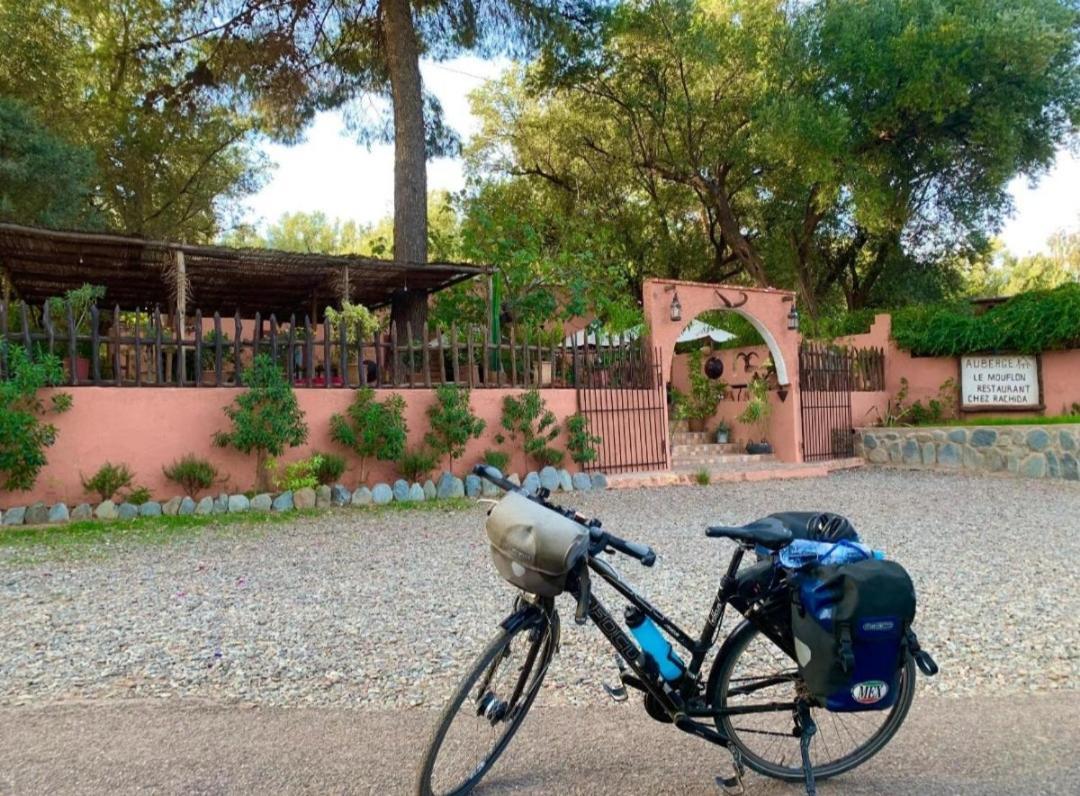 Auberge Le Mouflon Ouirgane Exterior photo